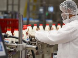 Se sugiere, en la medida de lo posible, consumir lácteos enteros para evitar la pérdida de nutrientes que contiene la grasa de estos productos. AFP / ARCHIVO