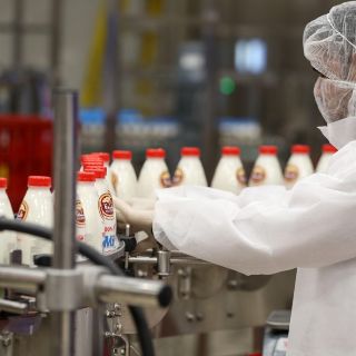 ¿Cuánta leche se debe tomar en la edad adulta?