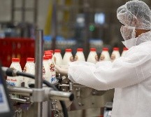 Se sugiere, en la medida de lo posible, consumir lácteos enteros para evitar la pérdida de nutrientes que contiene la grasa de estos productos. AFP / ARCHIVO