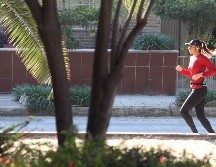 Lo recomendable es llevar una vida sana que reduzca las probabilidades de desarrollar células cancerosas. EL INFORMADOR / ARCHIVO