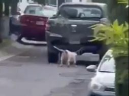 En redes sociales se comenzó a realizar un llamado a la acción para ayudar al perrito. ESPECIAL / X / @GNocturnaMX