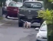 En redes sociales se comenzó a realizar un llamado a la acción para ayudar al perrito. ESPECIAL / X / @GNocturnaMX