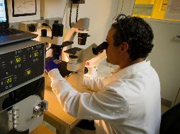 Estos son los síntomas que sufre una persona con síndrome de la persona rígida. ESPECIAL / Unsplash National Cancer Institute