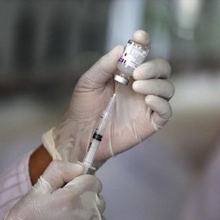 OMS desarrollará vacunas experimentales contra gripe H5N1