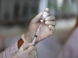 La empresa Sinergium Biotech, que colabora con el programa, obtuvo biológicos experimentales que emplean dicha técnica y va a efectuar un estudio de viabilidad con modelos preclínicos. EFE / ARCHIVO