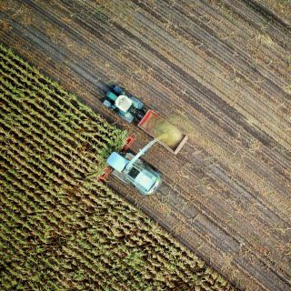 PIB de México crece un 0.2 % en segundo trimestre de 2024