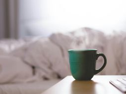 Algunas hierbas son mejores para bajar la fiebre. UNSPLASH / D. MAO