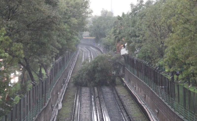 SUN / F. Rodríguez&nbsp;&nbsp;