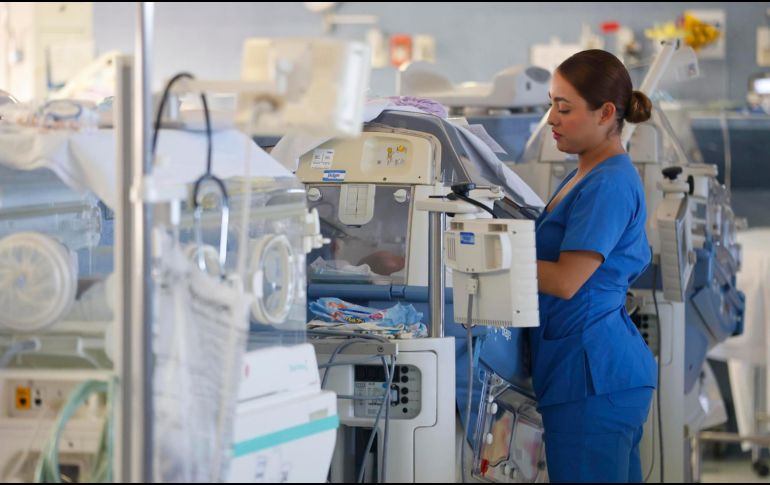 Con la invitación hecha por la institución se busca aprovechar la leche que van a producir para beneficiar a otros niños y honrar la memoria del que falleció. EFE/ Francisco Guasco