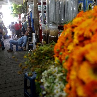 Conoce la infusión natural que ayuda a calmar los "nervios"