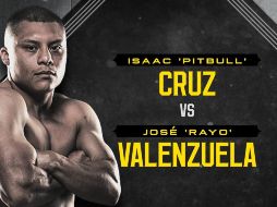 Televisa transmitirá la pelea del Pitbull contra el Rayo. X/TUDN