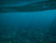 ¿La Atlántida existe o sólo es ficticia? Pexels / Kevin Clyde Berbano