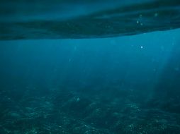 ¿La Atlántida existe o sólo es ficticia? Pexels / Kevin Clyde Berbano