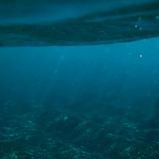 Atlántida: ¿Realmente encontraron la ciudad perdida?