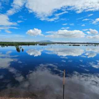 Lago de Texcoco se recupera gracias al temporal de lluvias