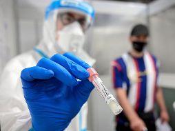 Los resultados del estudio han sido publicados en la revista especializada 