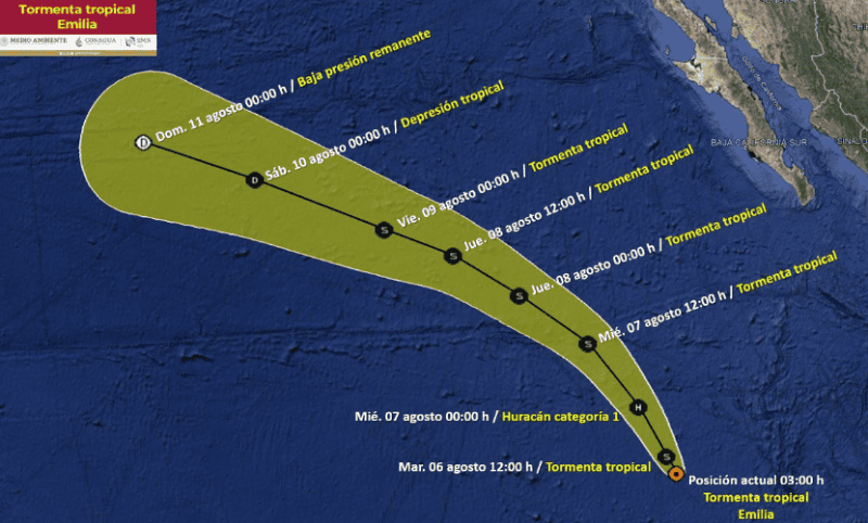 &nbsp;ESPECIAL / SMN