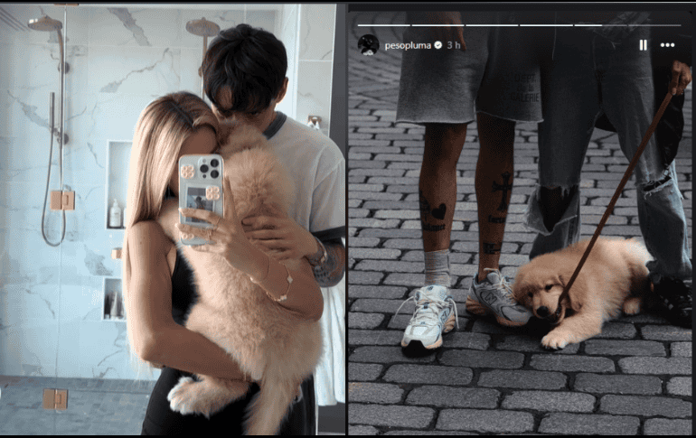 Hanna Howell es una modelo e influencer estadounidense cuya fama se ha acrecentado considerablemente gracias a su imponente atractivo físico. ESPECIAL/TIK TOK/@bananaahanna/ INSTAGRAM/ @pesopluma.