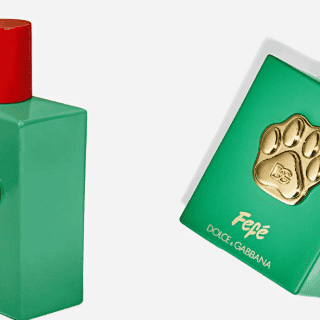 Dolce & Gabanna lanza perfume de lujo para perros