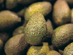 El aguacate es la fruta que más se encareció. AFP