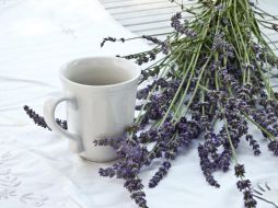 Además de ser un producto asequible y económico, se puede sugerir como tratamiento natural complementario, en caso de tener tratamiento psicológico para quienes están diagnosticados con ansiedad. Pixabay.