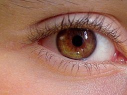 Estos productos para el cuidado de tus pestañas son, además de naturales, muy prácticos y económicos. PIXABAY/ uroburos