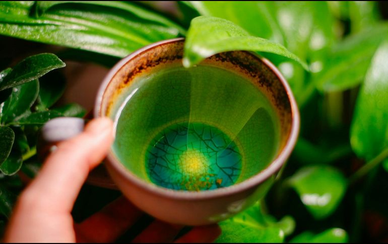 Potencia la conectividad cerebral entre la corteza frontal y parietal. UNSPLASH / A. ZAKHAROVA