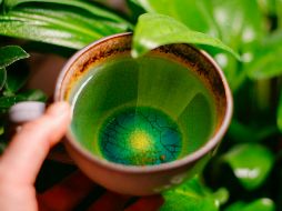 Potencia la conectividad cerebral entre la corteza frontal y parietal. UNSPLASH / A. ZAKHAROVA