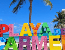 Se distingue por su gran popularidad entre los visitantes y una excepcional amabilidad hacia los extranjeros, con una calificación perfecta de 5/5. INSTAGRAM/playadelcarmen_