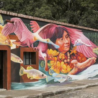 Mil especies y un récord Guinness