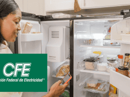 Según la CFE, los aparatos antiguos suelen consumir más energía, lo que se refleja en el monto de tu recibo de luz. Mantener electrodomésticos obsoletos podría resultar en costos más altos y afectar tu economía. CFE