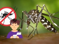 También es importante estar atento a los síntomas del dengue, como fiebre alta, dolor detrás de los ojos, dolor en las articulaciones y músculos, erupción cutánea y sangrado leve. CANVA