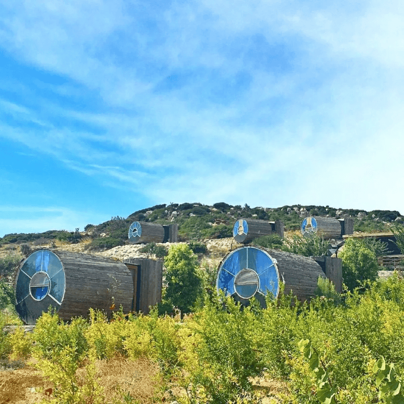 &nbsp;CORTESÍA/ Turkish Airlines