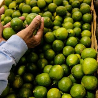 ¿Cuánto cuesta el kilo de limón en el Mercado de Abastos de GDL?