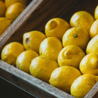 Casi el 80% de empacadoras de limón en Michoacán en paro por extorsión y caída del precio