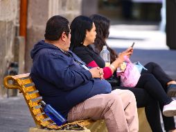 La enfermedad del hígado graso es un trastorno metabólico caracterizado por la acumulación de grasa en el hígado sin consumo significativo de alcohol. EL INFORMADOR / ARCHIVO