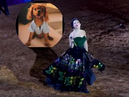 El es chichi, el único 