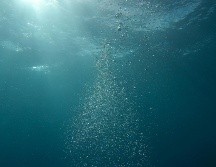 Sweetman afirma que el oxígeno oscuro podría sustentar la vida en el fondo del océano. Pexels / Berend de Kort