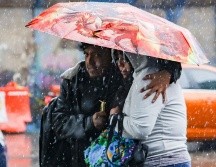 Jalisco tiene un pronóstico de lluvias intensas, acompañadas de descargas eléctricas y granizo. SUN / ARCHIVO