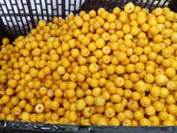 El namche ha sido apodado “la fruta de oro” debido a su riqueza en nutrientes esenciales. ESPECIAL/ Gobierno de México