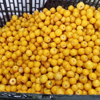 El alimento rico en colágeno que borrará tus arrugas