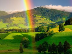 Solo una palabra puede definir el arcoíris: ¡Mágico! ESPECIAL / Pixabay @susnpics