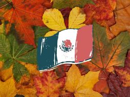 El otoño marca su inicio con un evento astronómico conocido como equinoccio de otoño. Unsplash.