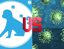 La población se pregunta si la viruela del mono puede ser tan letal como el COVID-19. ESPECIAL/Imagen de Alexandra_Koch en Pixabay ESPECIAL/Imagen de Thiago Lazarino en Pixabay