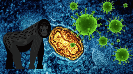 La viruela del mono, como era antes conocida el mpox, tiene en alerta al mundo y es importante reconocer de qué se trata para estar bien informados. UNSPLASH/ National Institute of Allergy and Infectious Diseases/ ESPECIAL