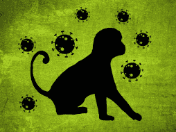 Se conoce que el mpox es una enfermedad zoonótica porque puede transmitirse de animales a humanos y también se propaga de persona a persona. PIXABAY