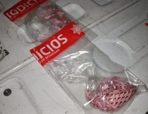 Los detenidos fueron puestos a disposición de las autoridades de ministerio público para comenzar con las indagatorias. ESPECIAL/ Policía de Guadalajara