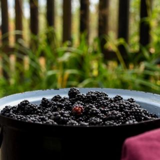 El superalimento para combatir la diabetes y promover la salud general