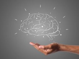 Mantener una buena memoria en la adultez está estrechamente vinculado al funcionamiento óptimo del cerebro, y con perseverancia y dedicación, se pueden lograr grandes mejoras mediante ejercicios sencillos. Pixabay