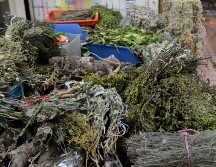 Esta planta ayuda a reducir la retención de líquidos y estimular el funcionamiento de la vesícula biliar y el hígado. EL INFORMADOR / ARCHIVO